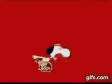 Snoopy Dance