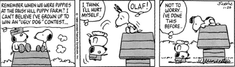 Random Strip